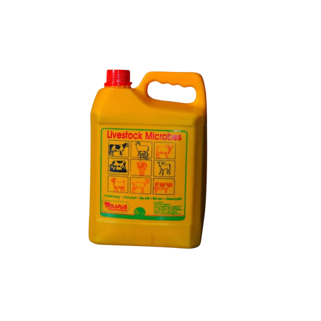 Molaplus Microbes